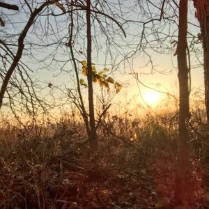 Meet your Posher, Jeff